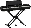 fp-e50_angle_x-stand_pedal.webp