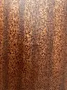 IMG_5072.webp