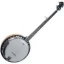 Alabama ALB29 - 5-String Banjo - Powerful Sound