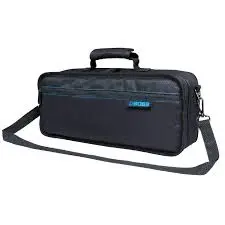 BOSS CB-GT1 - Sac de Transport pour Pédalier GT-1