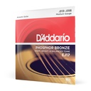D'Addario Strings - D'Addario EJ17 Phosphor Bronze Acoustic Guitar ...