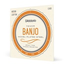 D'Addario EJ63 - Cordes Banjo Light Tenor [Nickel 09-30]