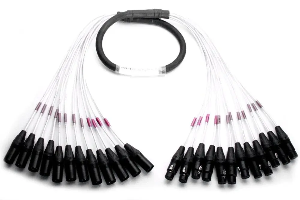 Digiflex DPR-12FX/12MX-10 SNAKE 12 × XLR F / 12 × XLR M 10'