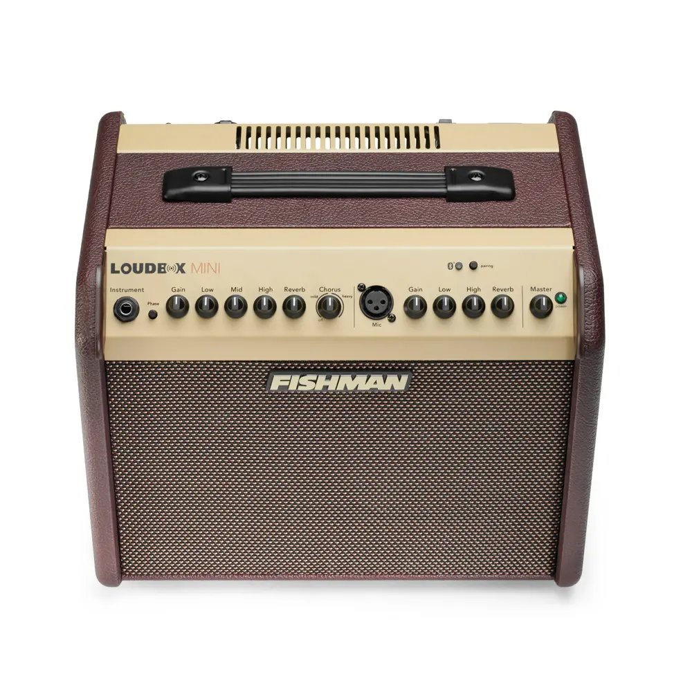 Fishman Loudbox Mini BT - Ampli Acoustique