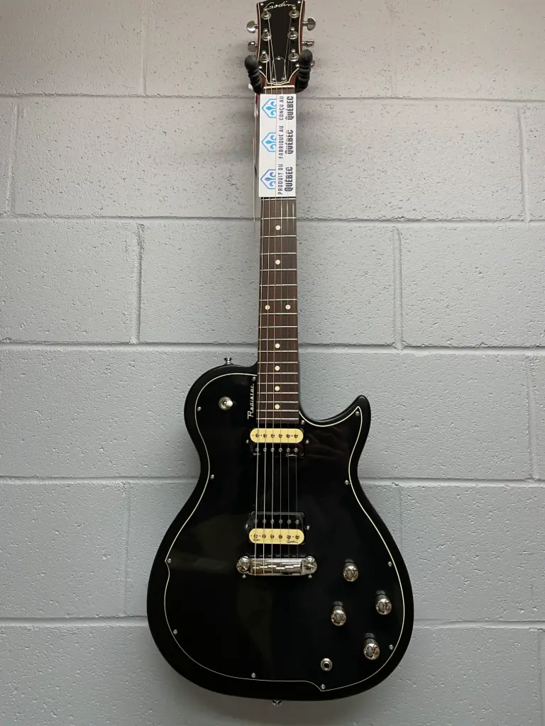 Godin Radiator - Guitare Électrique - Style et Performance