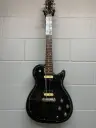 Godin Radiator - Guitare Électrique - Style et Performance