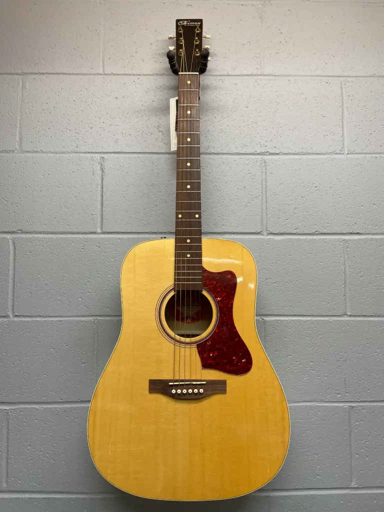 Norman B-20 - Acoustic Guitar - Open Box/Demo