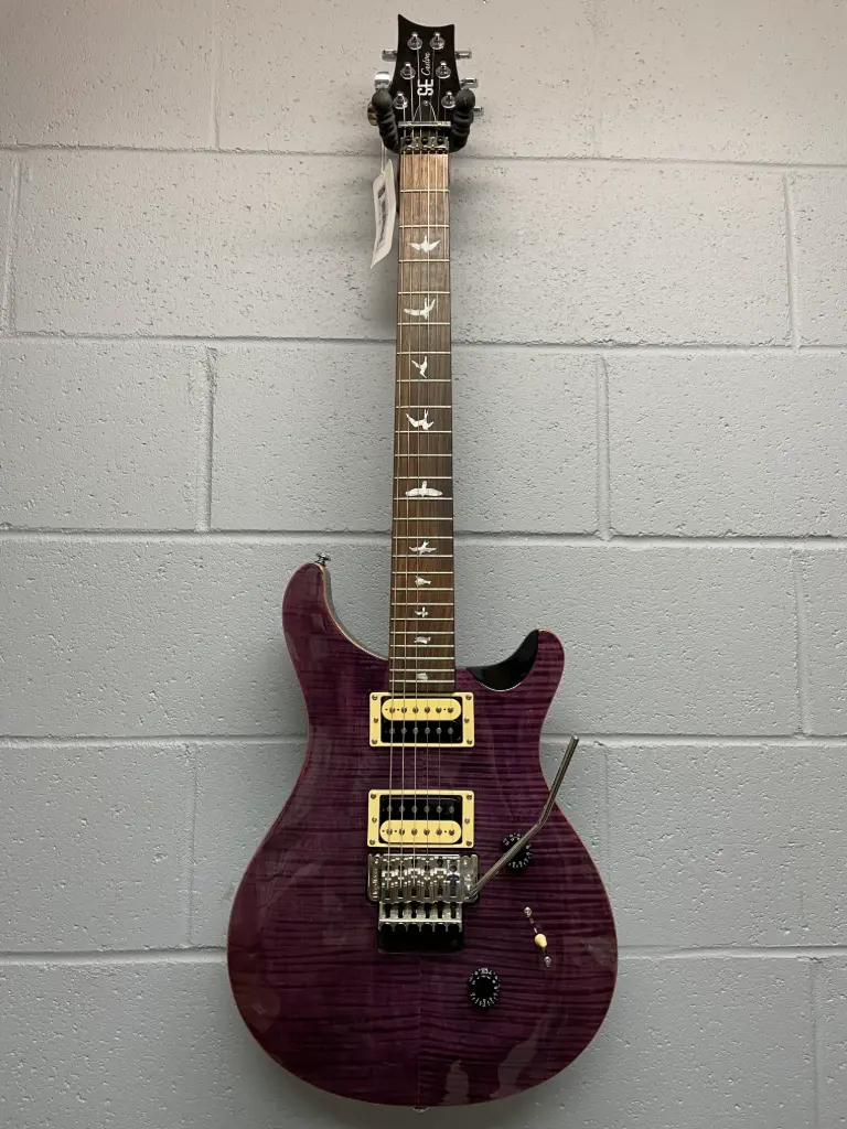 PRS Custom24SE - Electric Guitar - HH Floyd Rose