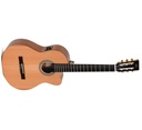 Sigma Guitars CMC-STE+ - Electric Guitar - Sound and Precision
