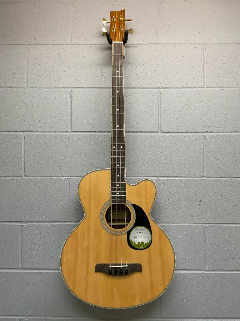 BeaverCreek BCB05CE Basse Acoustique Avec Étuit