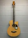 BeaverCreek BCB05CE Basse Acoustique Avec Étuit