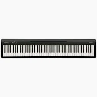 Roland FP-10 Digital Piano Location