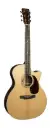 Martin GPC-16E Guitare Électro-Acoustique en Rosewood