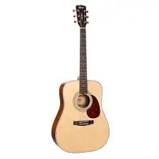 [COR EARTH70-NT] CORT GUIT ACOUST VERNIE TOP SOLIDE NATUREL