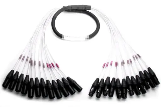 [DPR-12FXé12MX-10] Digiflex DPR-12FX/12MX-10 SNAKE 12 × XLR F / 12 × XLR M 10'