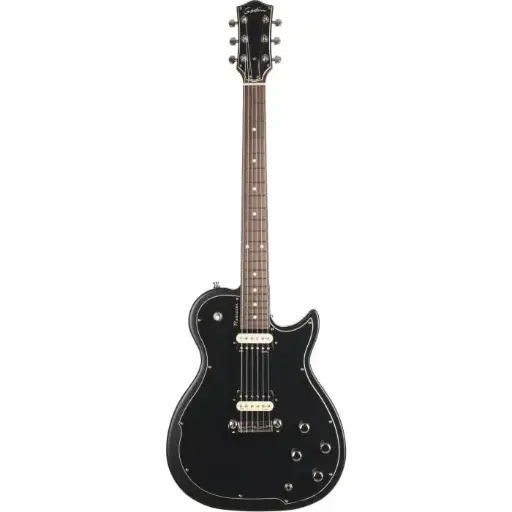 [48472] GODIN GUIT ELECT RADIATOR