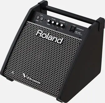 [PM-100] Roland PM-100 - Personal Monitor - Compact Sound System